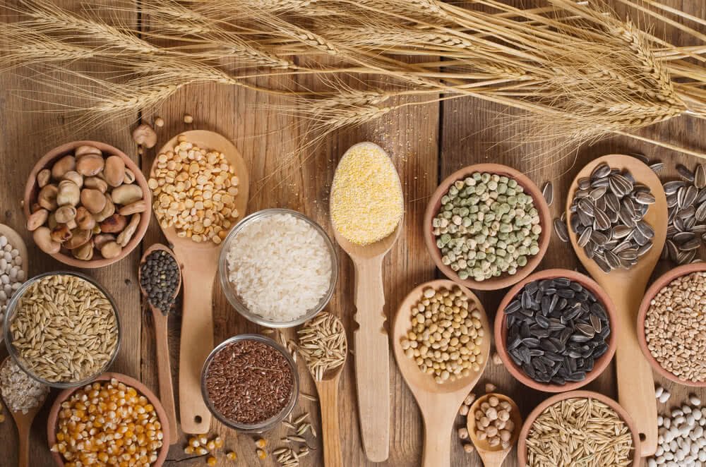 Agriculture Seeds